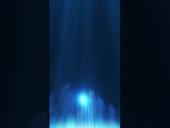 창고용 포장품 (1)